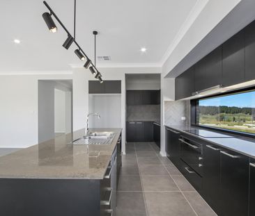 43 Pat Lovell Crescent, Whitlam ACT 2611 - House For Rent | Domain - Photo 4