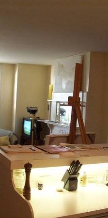 Lrg 1 bdrm aptm garden laundry quiet st close to transport, park, DVP - Photo 1