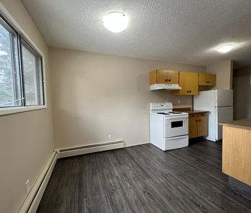 Pet Friendly 2 Bedroom 1 Bathroom Apartment - Photo 6