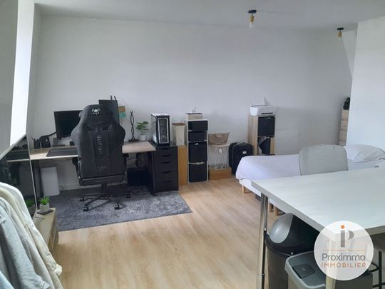 Location Appartement 1 pièce 28m² - Photo 1