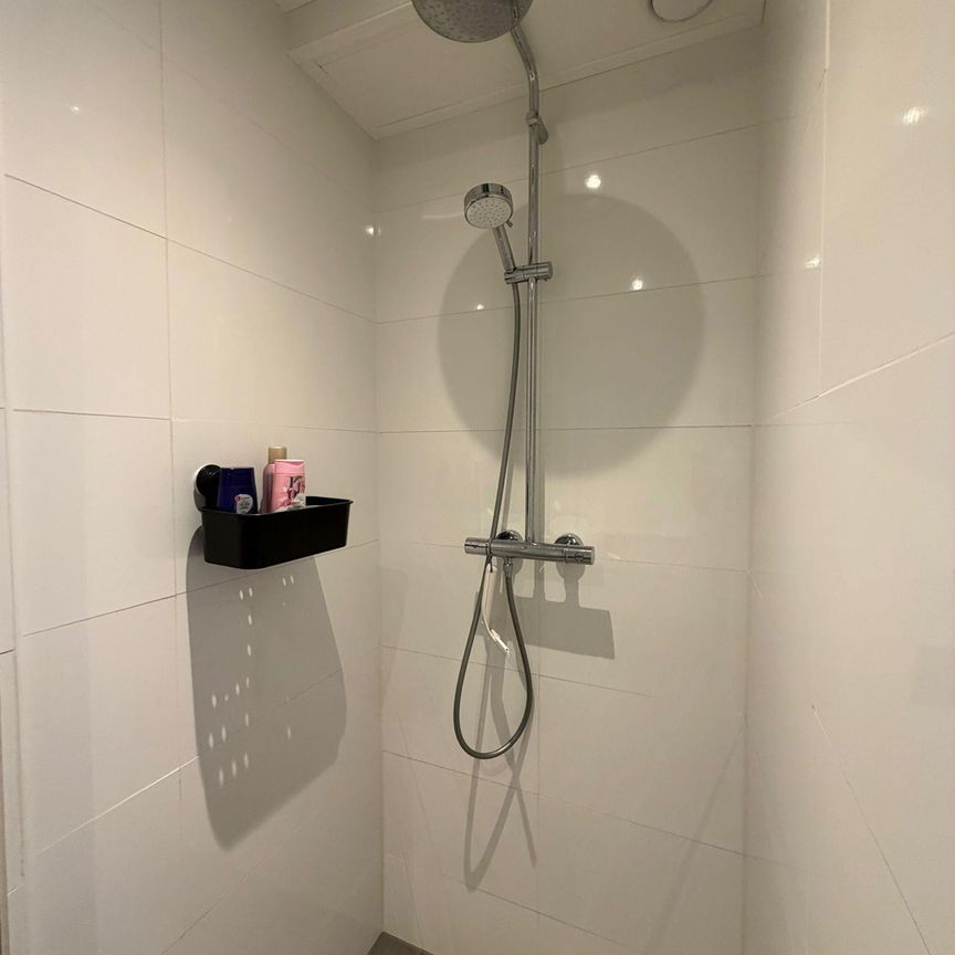 Veldbeemdgras - Photo 1