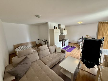 Pottenbrunn: 2-Zimmer Erdgeschosswohnung ab Jänner zu vermieten! - Foto 2