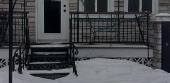 Maison à louer avec cours et stationnement (Rosemont) - Photo 2