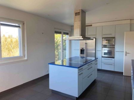 Magnifique appartement de 7 pièces en attique avec terrasse au Grand-Lancy - Photo 3