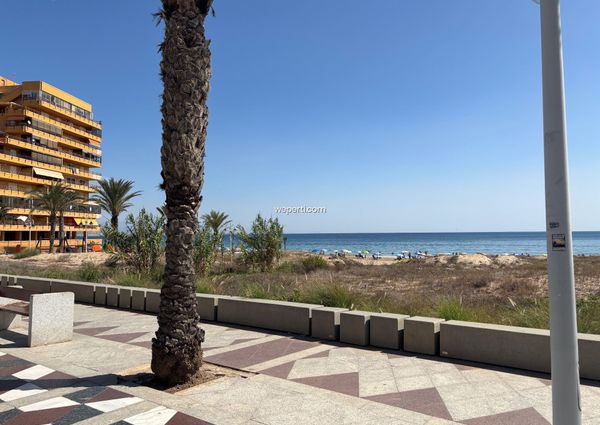 Apartment in Arenales del Sol, for rent