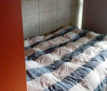 Central Auckland 1BR Gem! - Photo 1