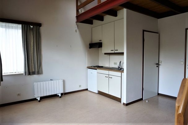 Welgelegen studio met mezzanine nabij UZ Leuven, Arenberg en Imec - Photo 1