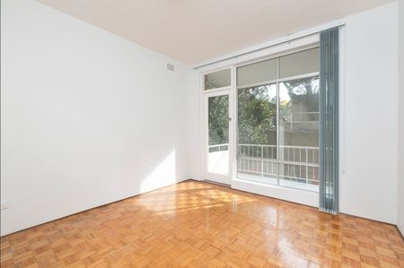 12/4 MacPherson Street - Photo 4