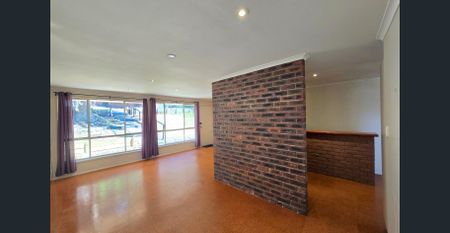 BE NIMBLE, BE QUICK! - WATER INCLUDED - Photo 4