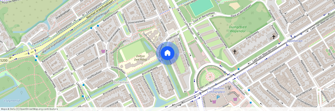 Bohemen en Meer en Bos, 2555 RT, Godetiaweg, Den Haag