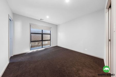 11 Mason Street, Googong - Photo 4