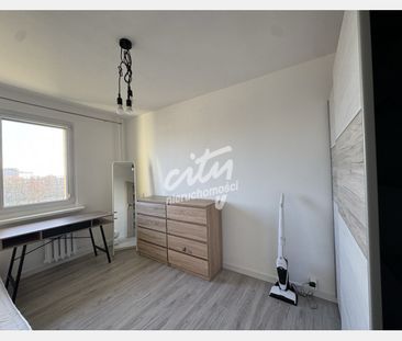 Szczecin - Zdjęcie 6