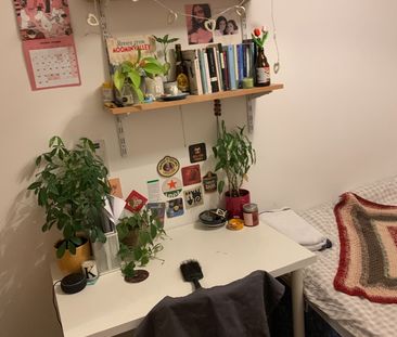 Room in a Shared House, Brailsford Road, M14 - Photo 3