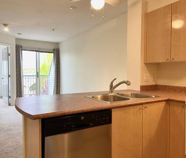 Unfurnished 1-Bedroom Condo in Cambie Village - Photo 3