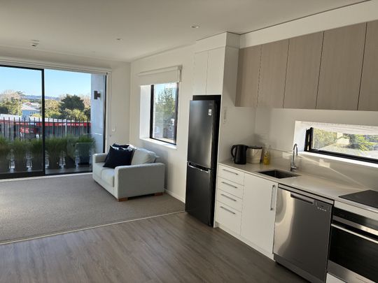Modern One-Bedroom Apartment in the Heart of Point Chevalier - Photo 1