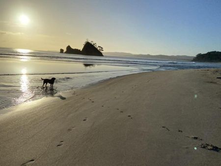 BEACH FRONT PARADISE - Photo 2
