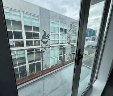 Just Renovated 3-Bedroom Apartment in Mount Vic - Photo 6