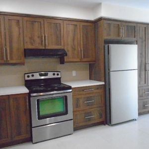 5 ½ Papineau et Louvain 5 électros à Montréal LIBRE - Photo 2