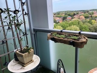 For Lease - 8763 Bayview Avenue Unit# 802, Richmond Hill, Ontario - Photo 1