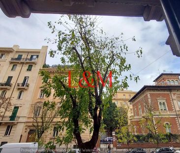 Quadrilocale via Crescenzio, Borgo, Roma - Foto 4