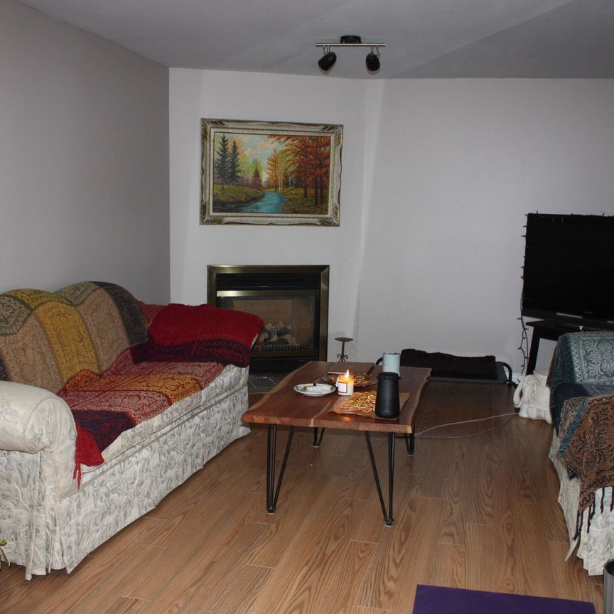 For Lease - 46 Lougheed Road Unit# Lower, Barrie, Ontario - Photo 1