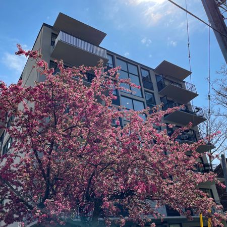 For Lease - 105 Raglan Avenue Unit# 303, Toronto, Ontario - Photo 3