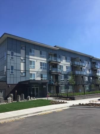 PARALLEL TWO APTS - 301 - P2-301 - Photo 4