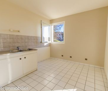 Location Appartement 2 pièces 59m² ST MARCELLIN 38160 - Photo 3