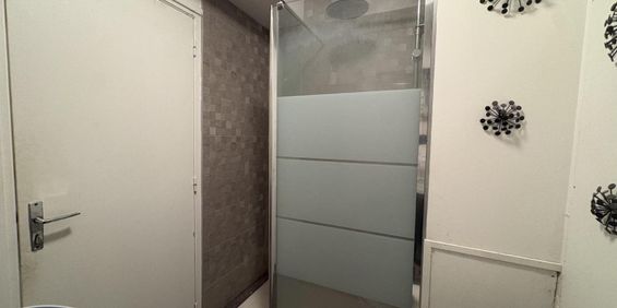 Location Appartement 1 pièce 30m² LILLE 59000 - Photo 3
