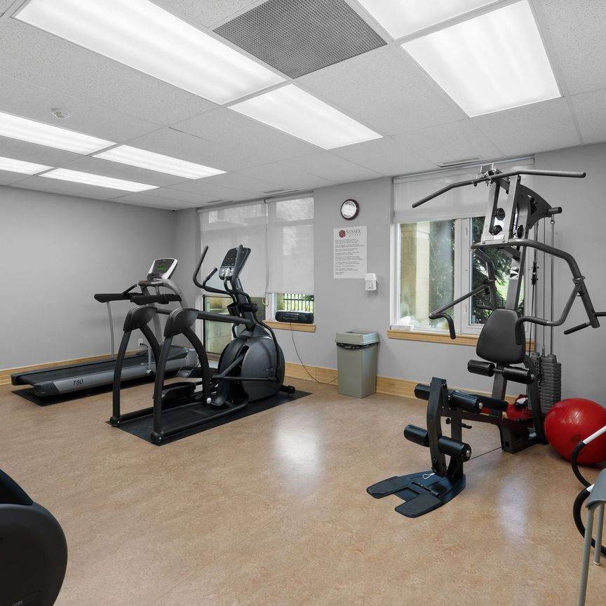 For Lease - 205 Bolton Street Unit# 217, Lower Town - Sandy Hill, Ontario - Photo 1