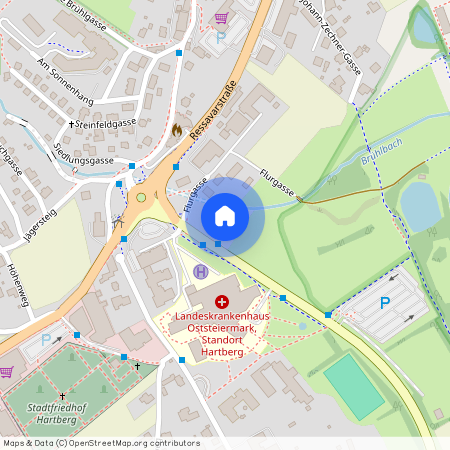 Flurgasse 2, 8230, Hartberg