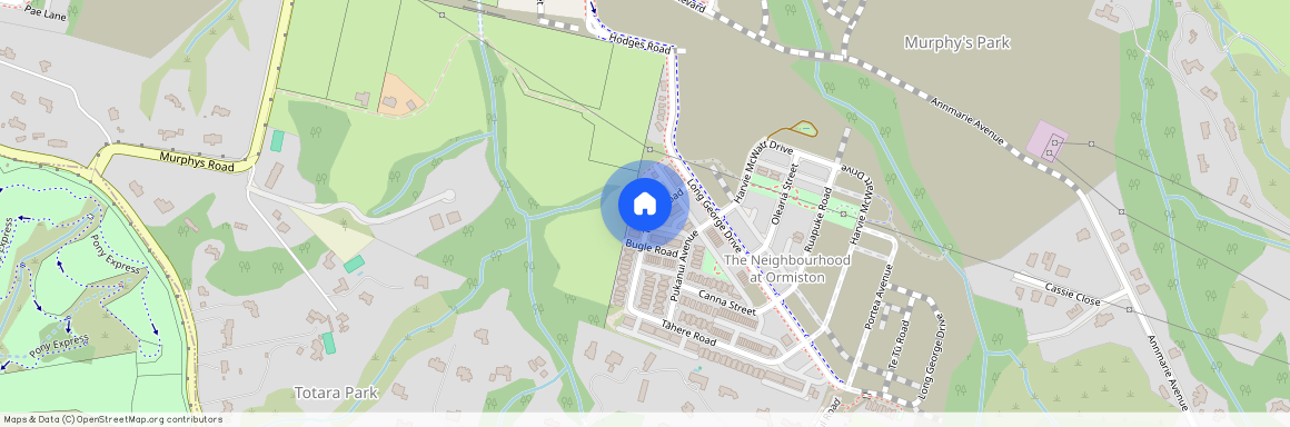 19 Tahere Road, Flat Bush, East Auckland