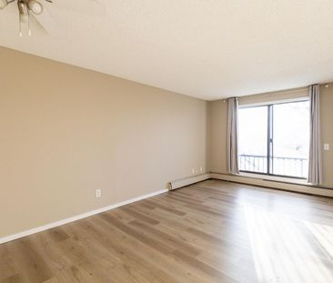 4646 73 Street NW, Calgary - Photo 6