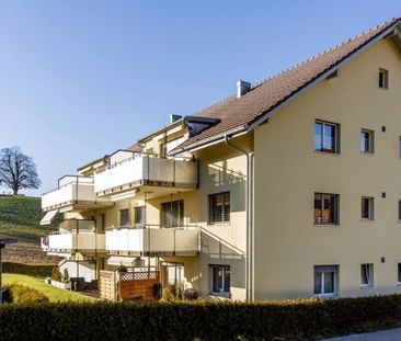2.5 Zimmer, EG - Photo 5