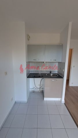 Studio avec balcon vue sur Marne – Bry-sur-Marne (Quai Louis Ferber) - Photo 4