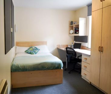 Four Bed Bronze - Photo 6