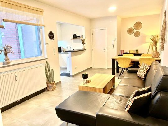 Stijlvol gemeubeld appartement met zeer groot terras en 2 slaapkamers - Photo 1