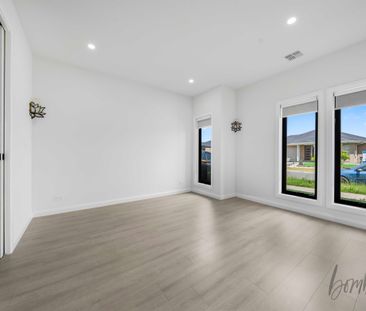 Spacious & Stylish Family Living in Donnybrook - Photo 3