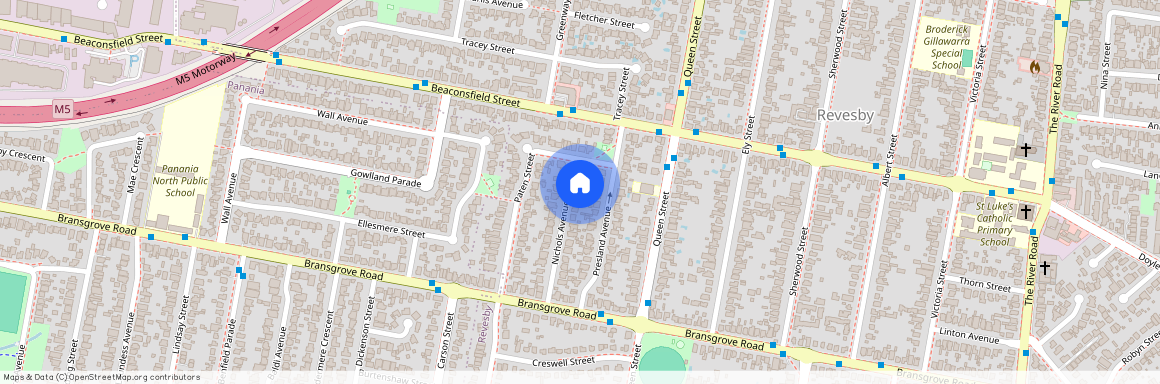 13A Nichols Avenue, NSW 2212, Revesby