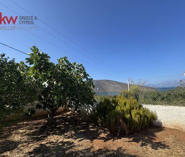 Μονοκατοικία για ενοικίαση Σκροπονέρια (Ανθηδώνος) - Φωτογραφία 2