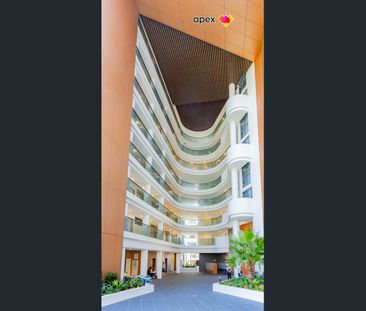 High Level One Bedroom - Photo 2