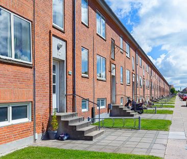 Afd. 1 Birkevang - Foto 1