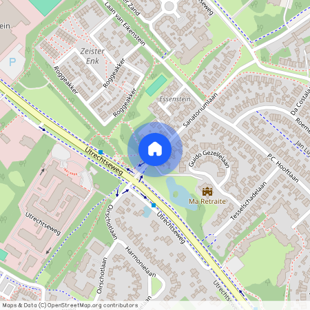 Patijnpark, 3705 AP, Sanatoriumlaan, Zeist