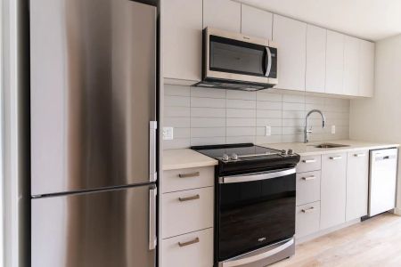 The Nelson — 1 Bed + 1 Bath | B6 - Photo 3
