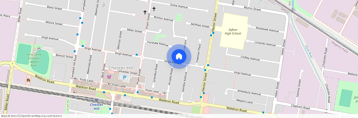 1B Meakin Crescent, Chester Hill NSW 2162