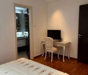 Tanglin Park (D10), Condominium - For Rent - Photo 3