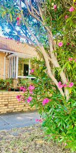 Black Rock - Photo 3