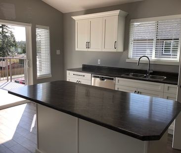 Beautiful Executive 4 Bedroom Home – Ladysmith TENANT PENDING - Photo 3