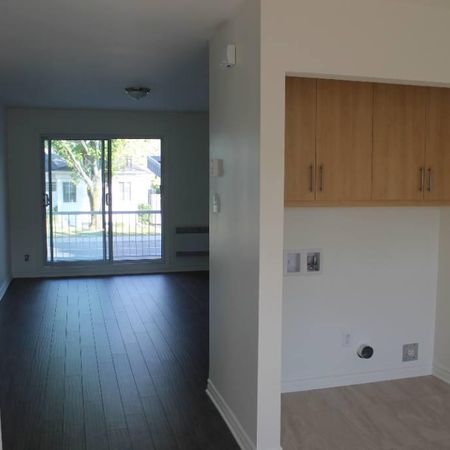 Appartement 4 et demi Vieux Longueuil - Photo 4