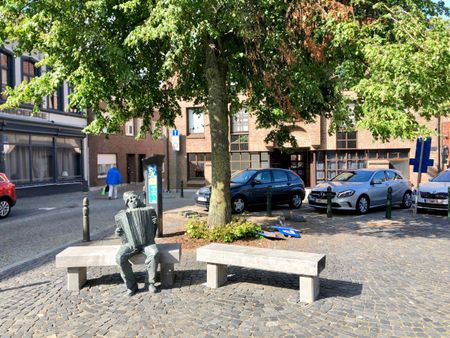 Centraal gelegen appartement met 2 slpk voor 725 EUR/mnd - Foto 3